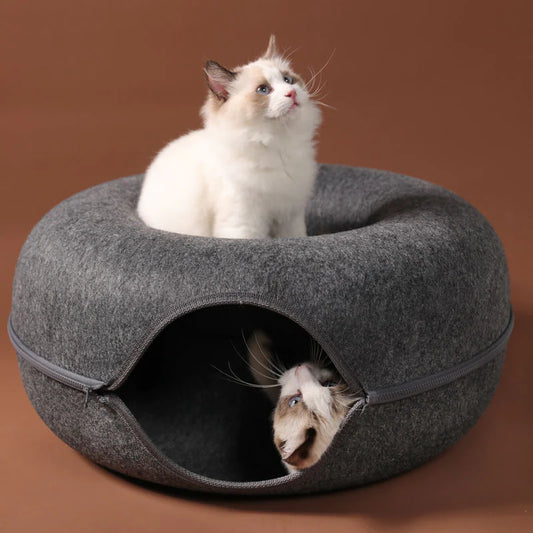 Funny Cat Tunnel