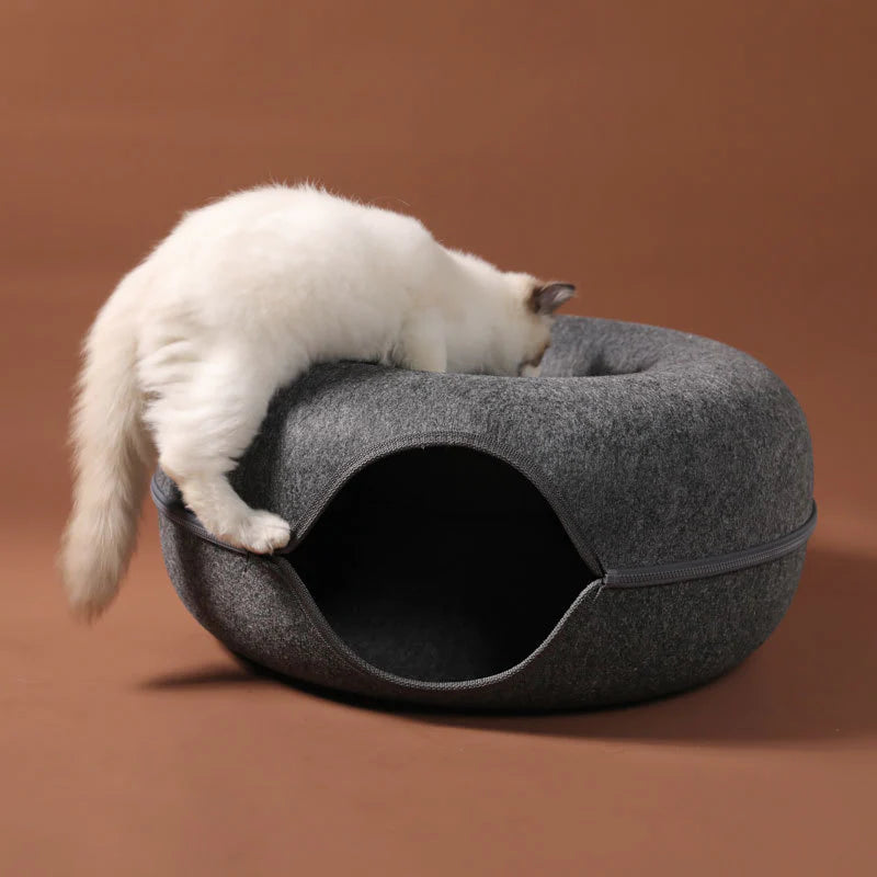 Funny Cat Tunnel