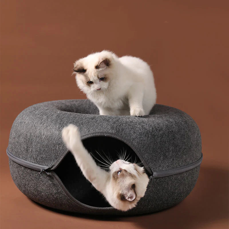 Funny Cat Tunnel