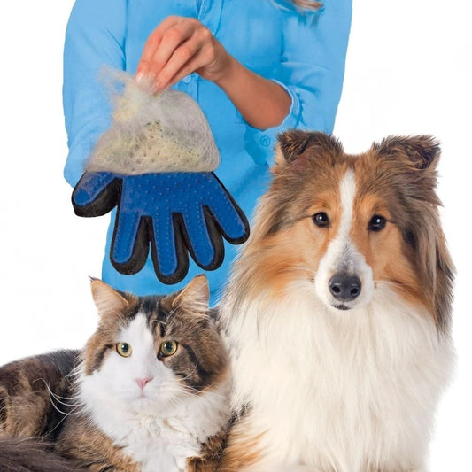 Massage Grooming Glove