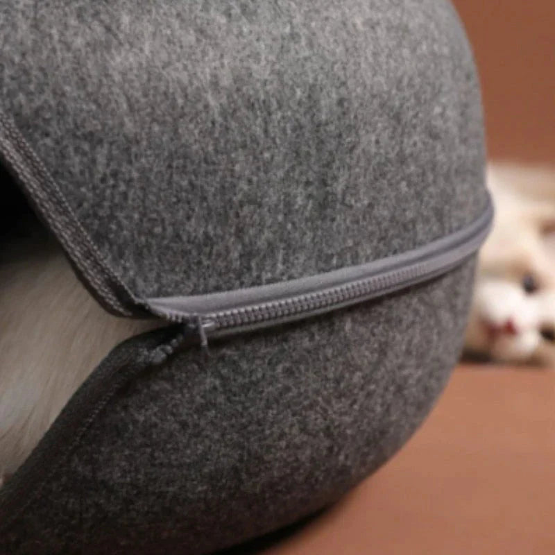 Funny Cat Tunnel